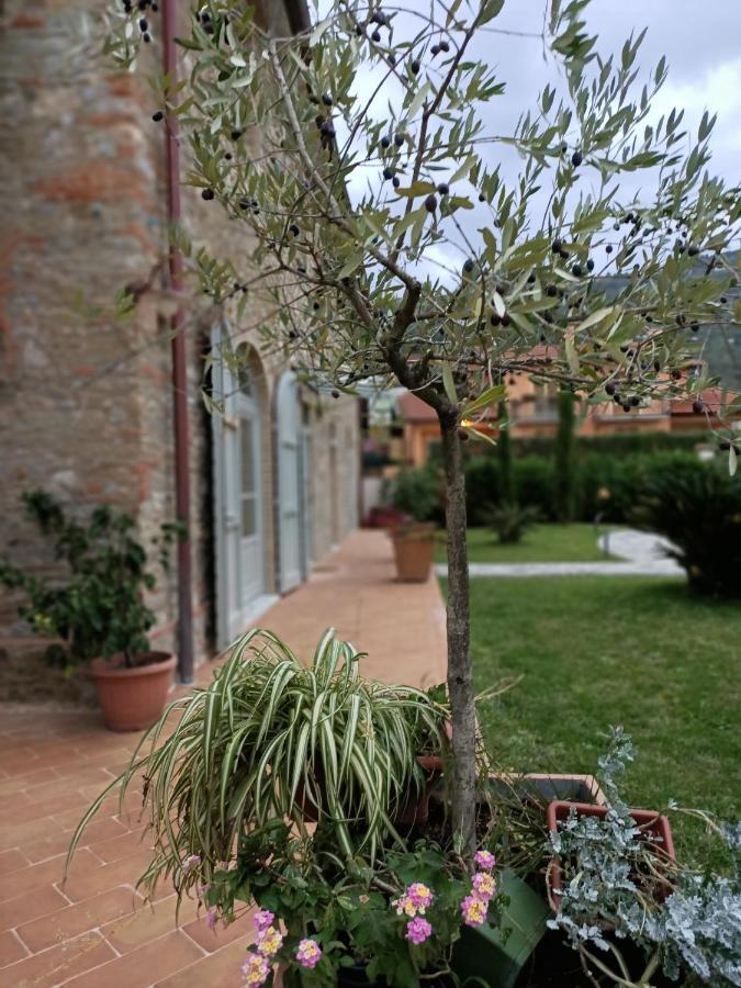 Casale1918 Bed & Breakfast Pietrasanta Bagian luar foto