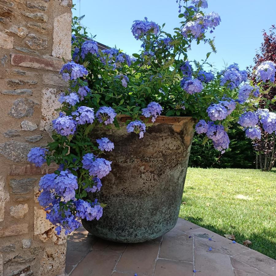 Casale1918 Bed & Breakfast Pietrasanta Bagian luar foto